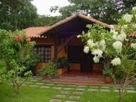 Los Llanos Wildlife Safari: South America's Untamed Savanna - 6