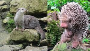 Relámpago del Catatumbo - 6