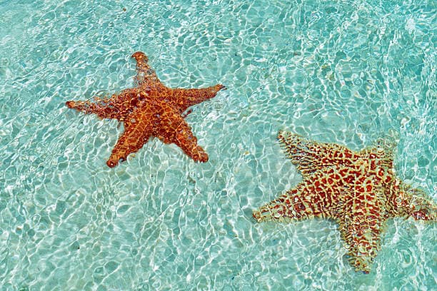 Los Roques Archipelago - 5