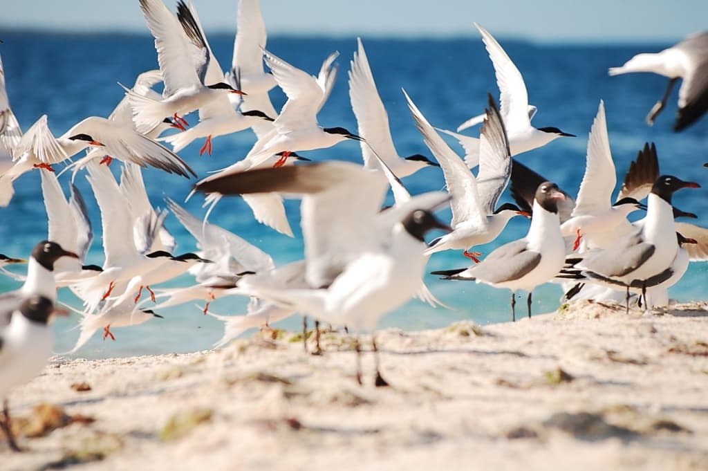 Los Roques Archipelago - 7