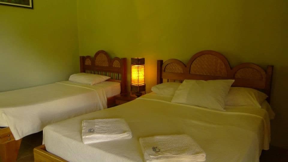 Angel Falls & Canaima 4D/3N: Jungle Lodge, River Journey & Flights Included - Image 5