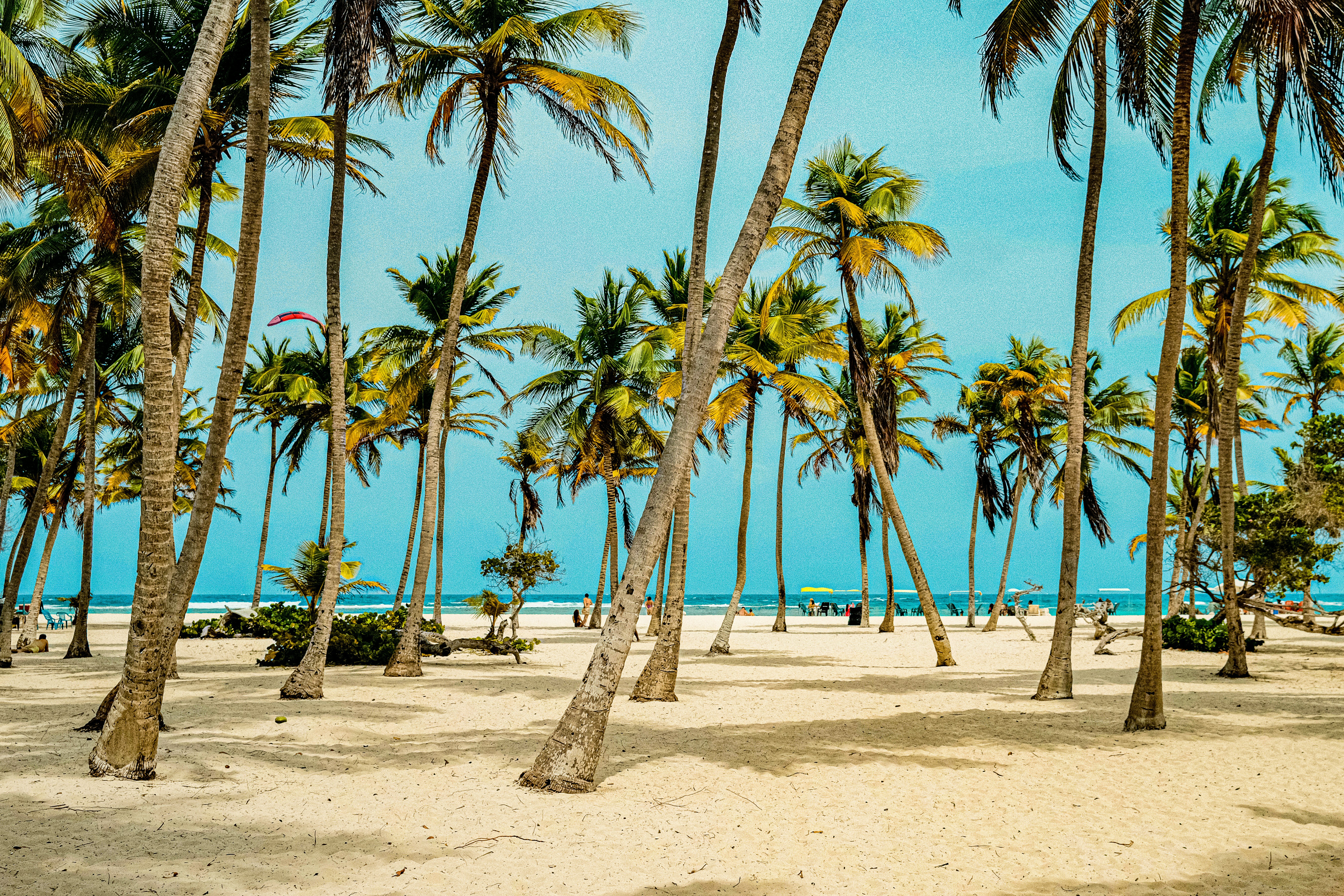 Venezuela - Paisaje caribeño